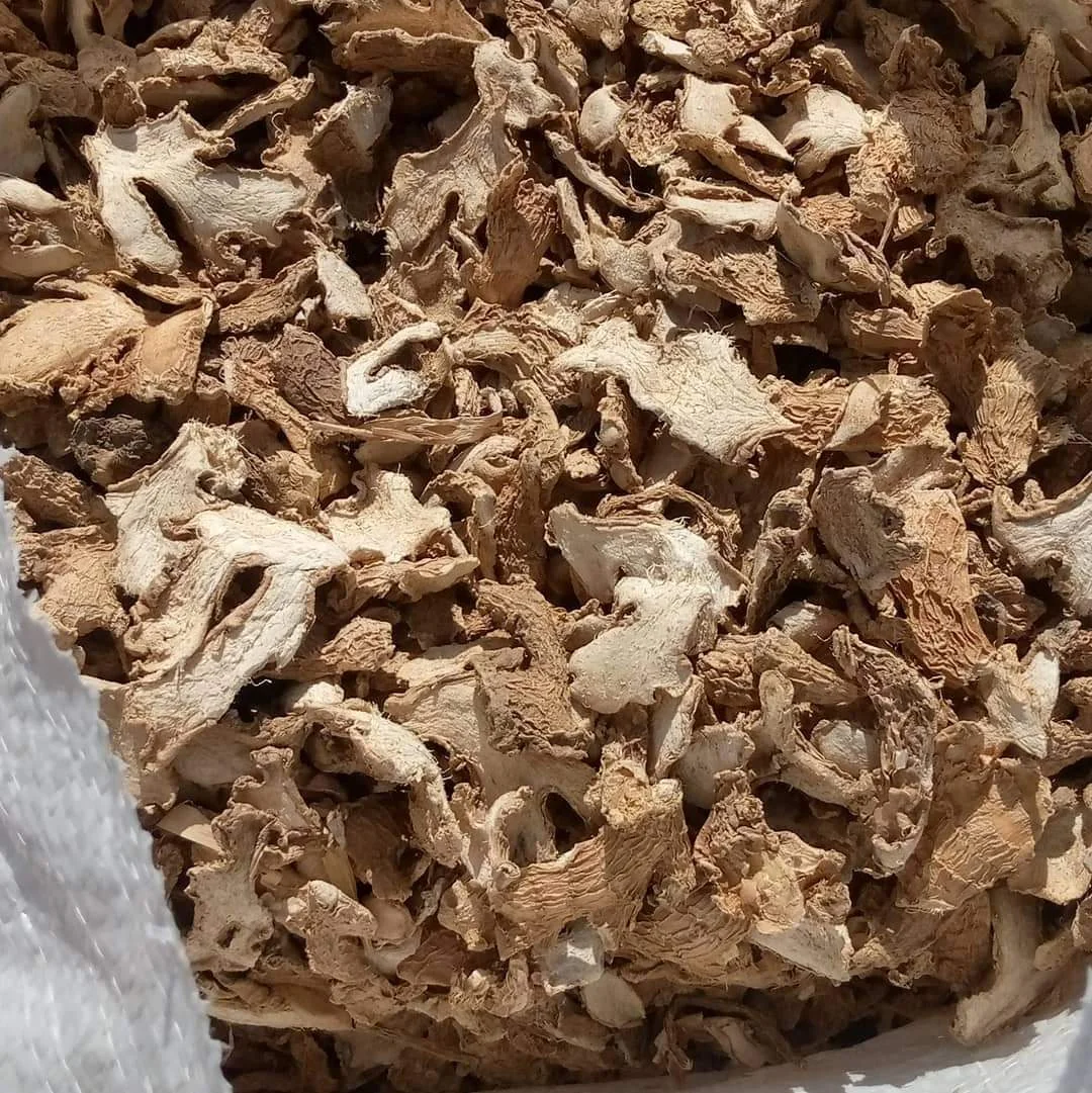 White sesame seeds — a premium Nigerian export crop